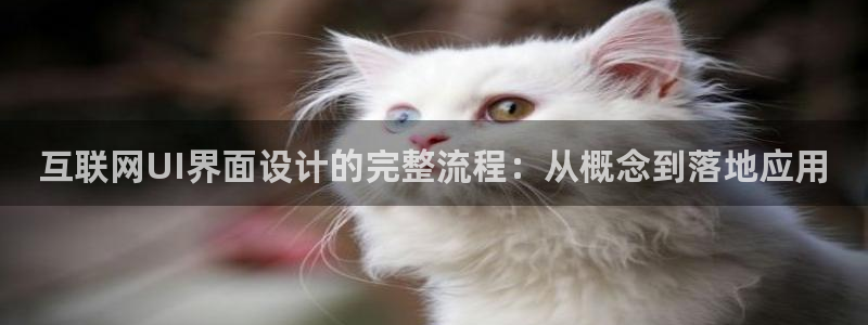 天狮娱乐60447股东