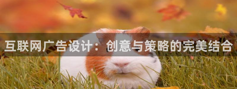 天狮娱乐　23976实c力