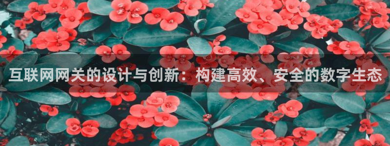 天狮娱乐是做什么的