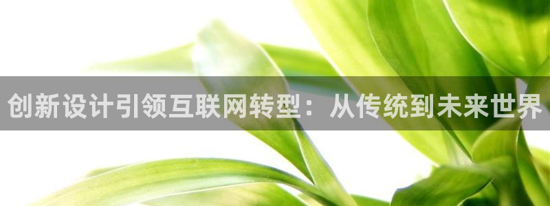 天狮娱乐主招商