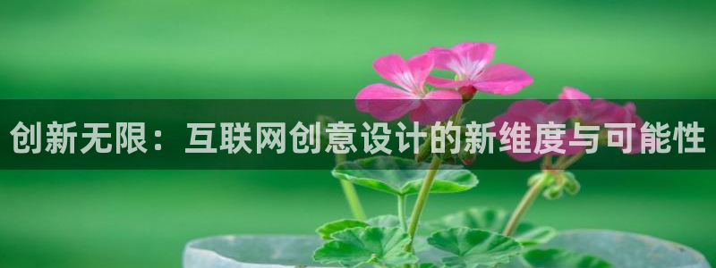 天狮娱乐卧J招商60447