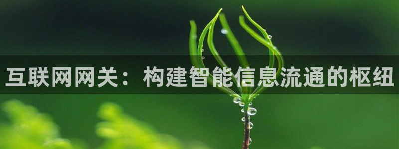 天狮娱乐负