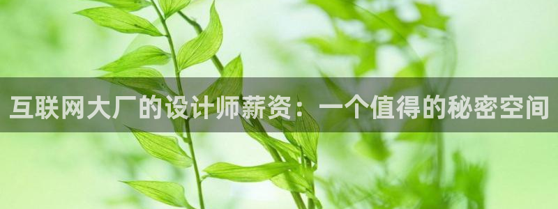 天狮娱乐叶哥