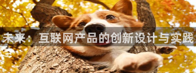 天狮娱乐b 判官是谁