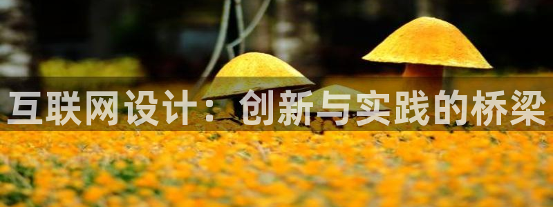 天狮娱乐950954