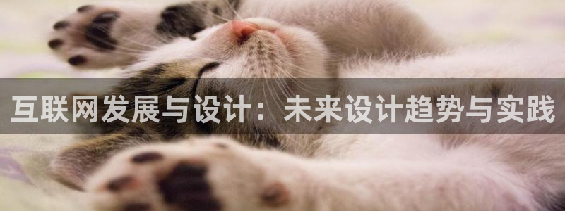 天狮娱乐炔wx15 net