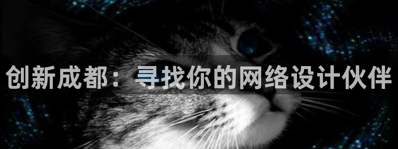 天狮娱乐挂机软件：创新成都：寻
