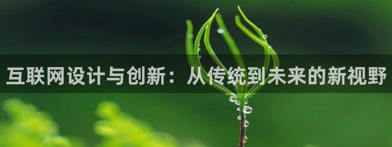 天狮娱乐方：互联网设计与创新：