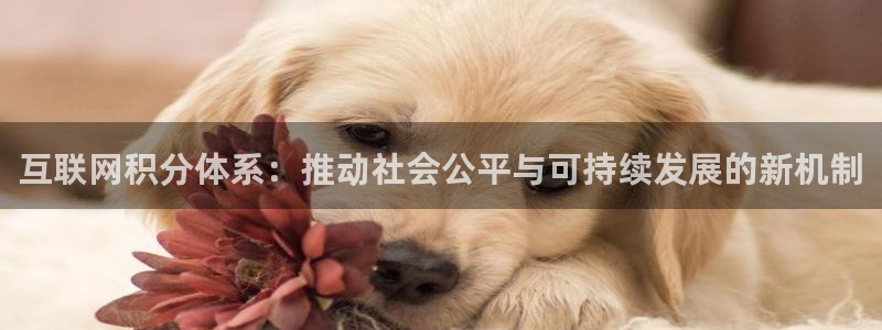 天狮娱乐首页：互联网积分体系：