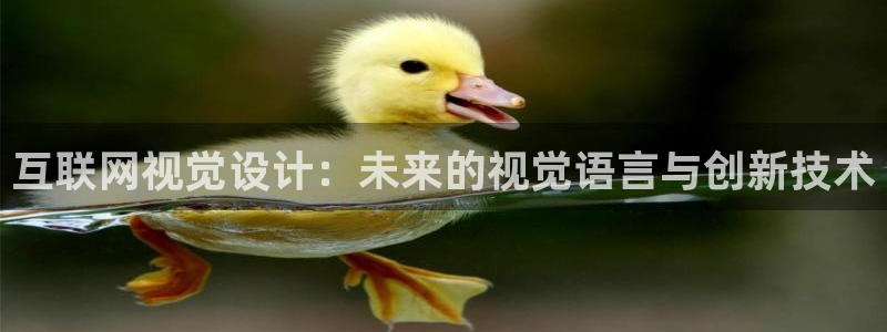 天狮娱乐负责人：互联网视觉设计