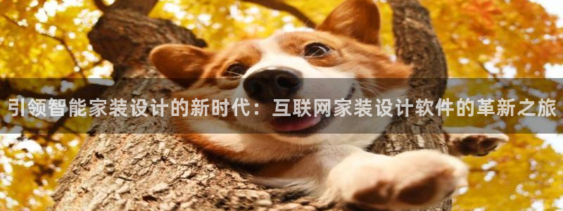 天狮娱乐手机app