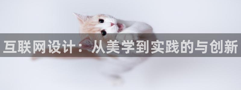 天狮娱乐-扣 股东：互联网设计