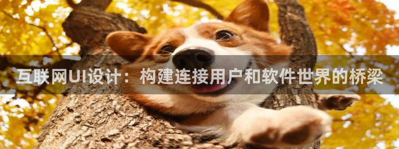 天狮娱乐运营29229