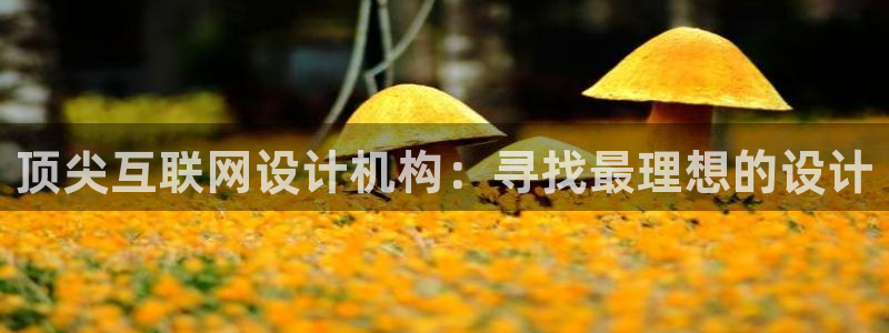 天狮娱乐 官方网站