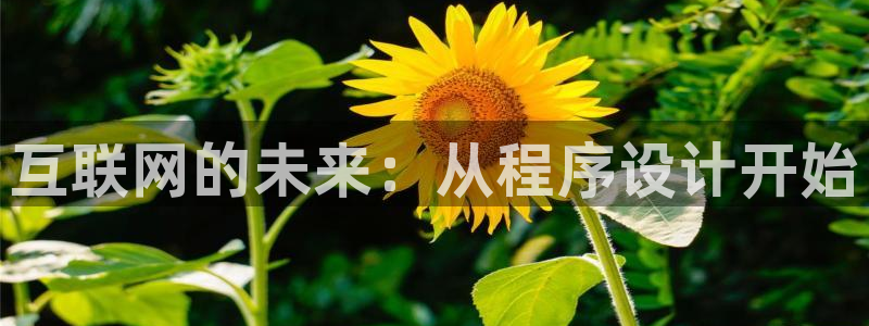 天狮娱乐客服