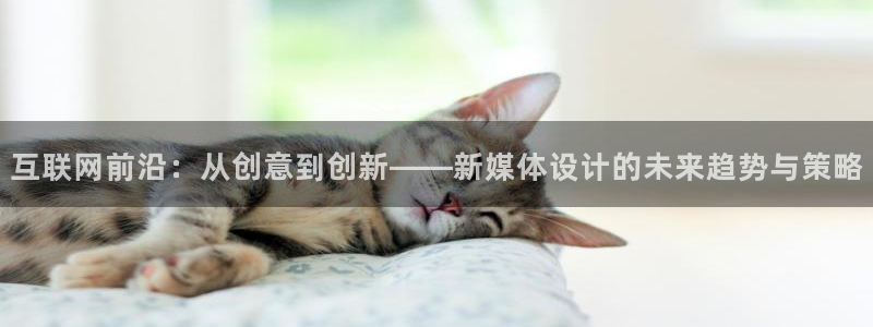 天狮娱乐彩票官网