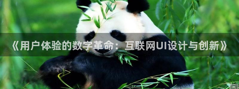 天狮娱乐 注：《用户体验的数字