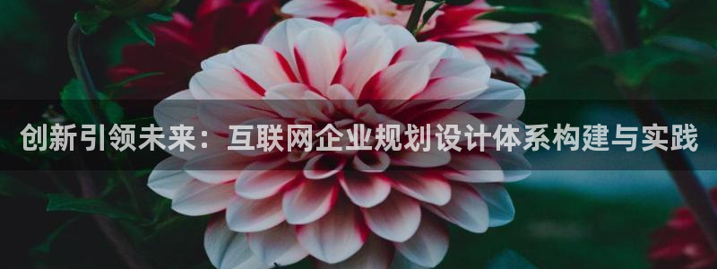 天狮娱乐平台注册：创新引领未来