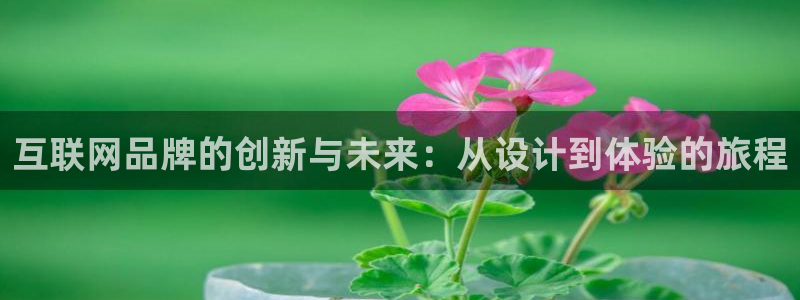 天狮娱乐股东39869