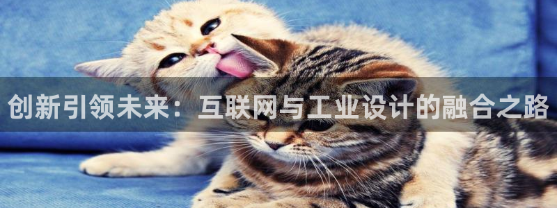 天狮国际娱乐平台