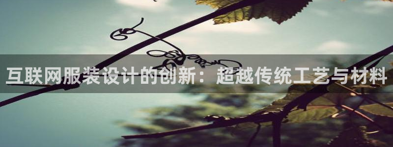 天狮娱乐最新版本：互联网服装设
