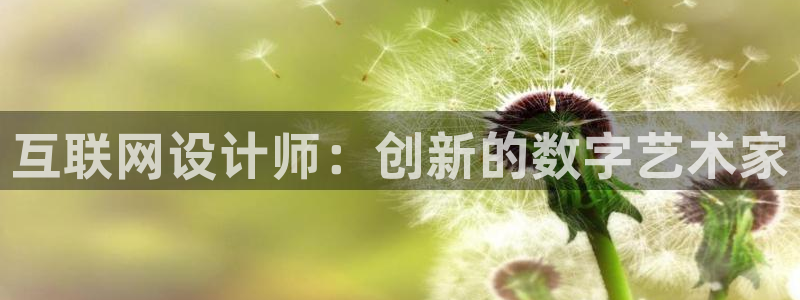 天狮娱乐 彩票：互联网设计师：