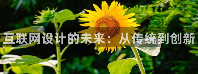 天狮娱乐d 判官