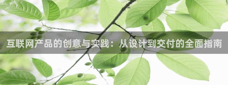 天狮娱乐代理制度：互联网产品的
